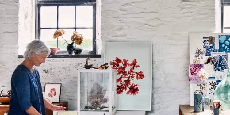 Seaweed Paintings | Cup of Jo